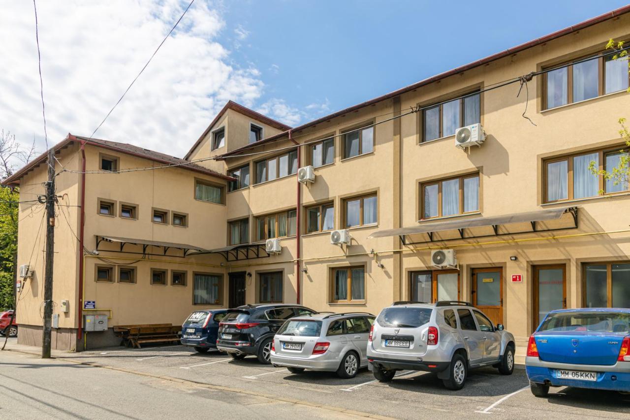 Pensiunea Pictorilor Baia Mare Dış mekan fotoğraf